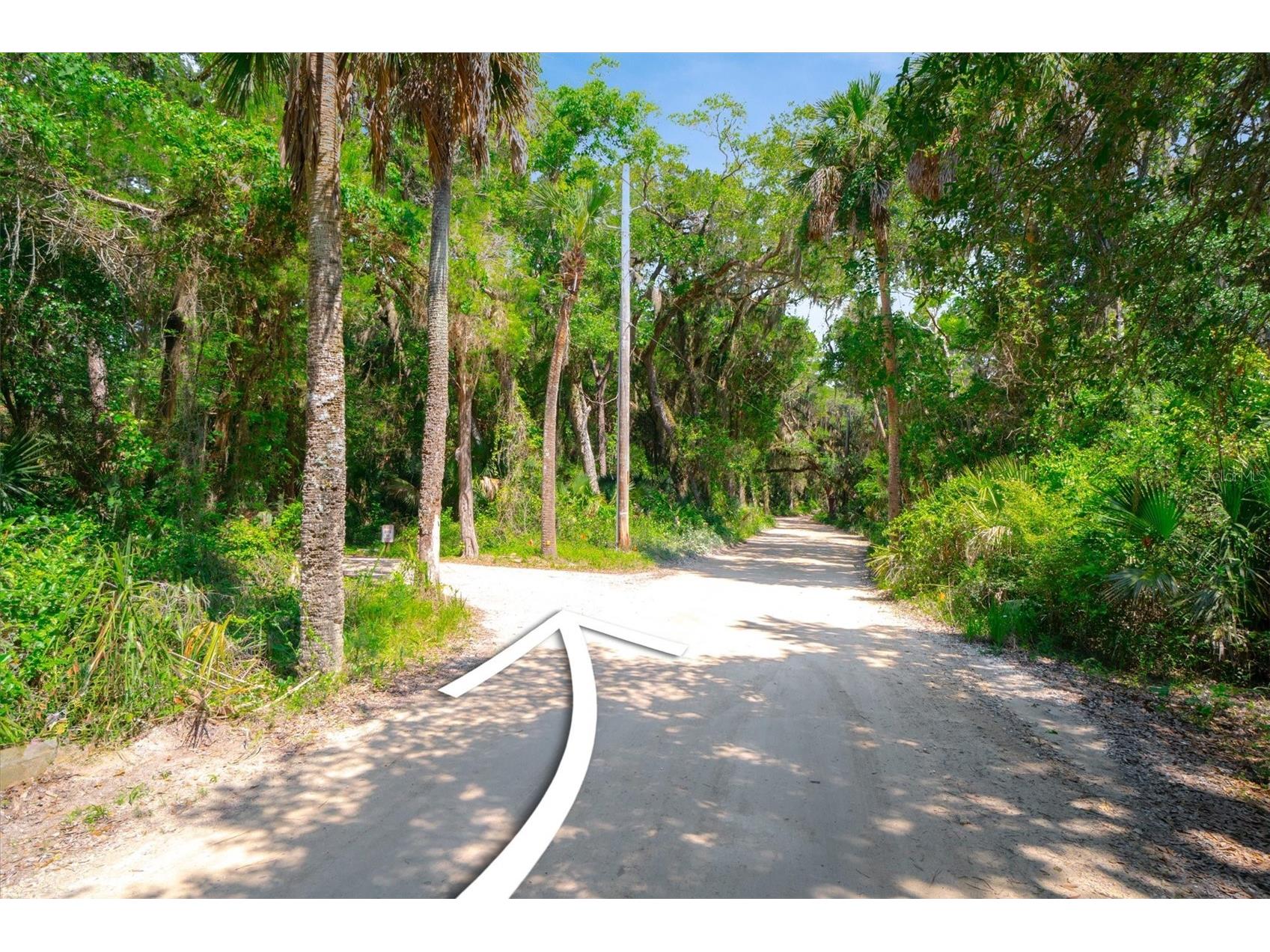 10474 Salt Marsh Trail Jacksonville FL 32226 FC318808 image7