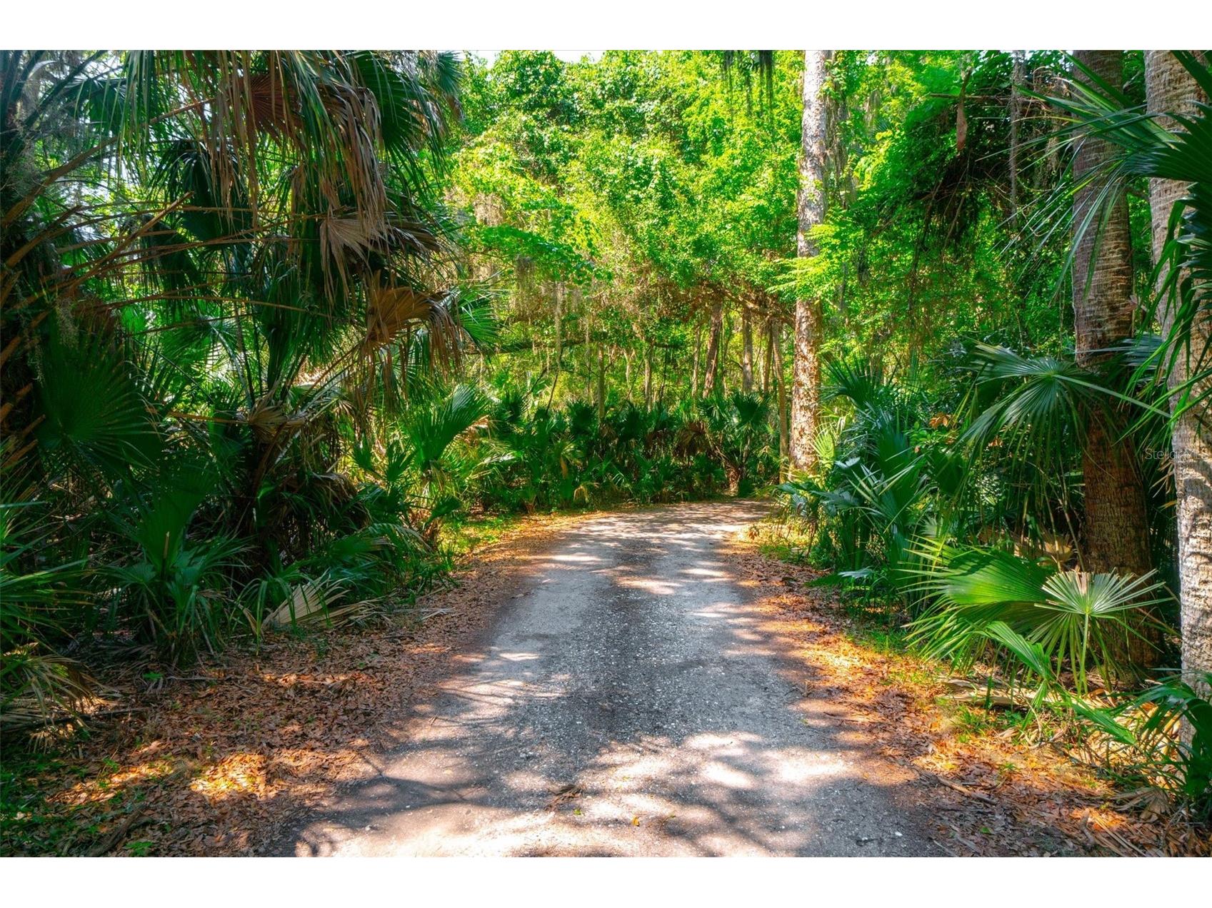 10474 Salt Marsh Trail Jacksonville FL 32226 FC318808 image8