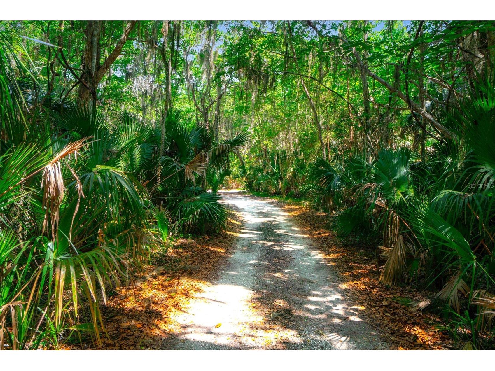 10474 Salt Marsh Trail Jacksonville FL 32226 FC318808 image9
