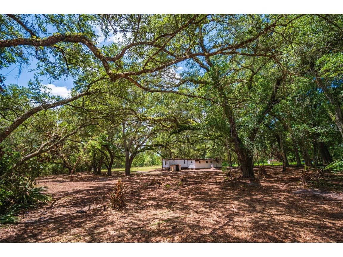 10475 NW 60th Lane Chiefland FL 32626 O6221181 image1