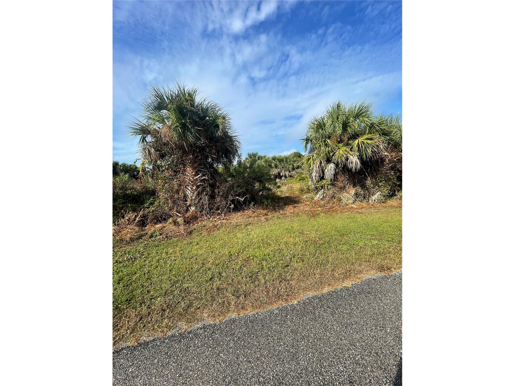 10477 New Brittain Street Port Charlotte FL 33981 C7518545 image1