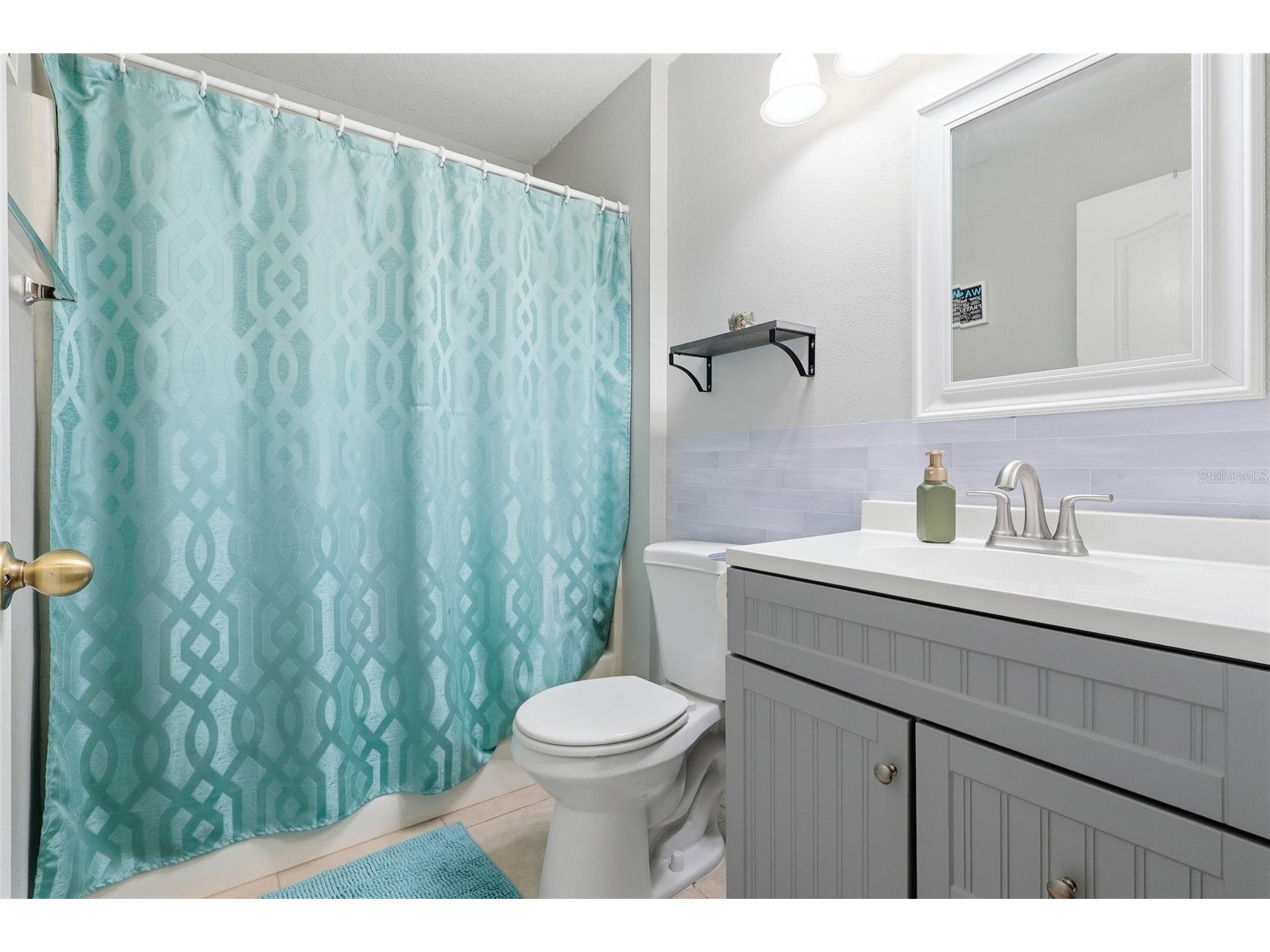 1048 Lake Shore Ranch Drive Seffner FL 33584 TB8464851 image10