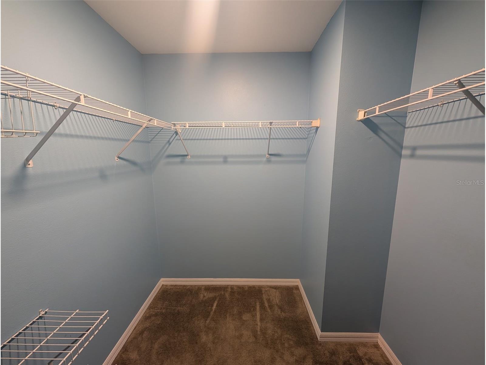 1048 Lake Shore Ranch Drive Seffner FL 33584 TB8464851 image15