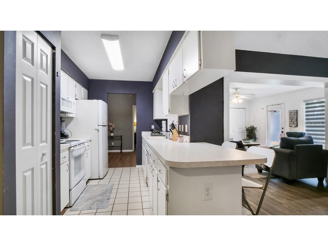 1048 Malletwood Drive Brandon FL 33510 TB8522170 image18