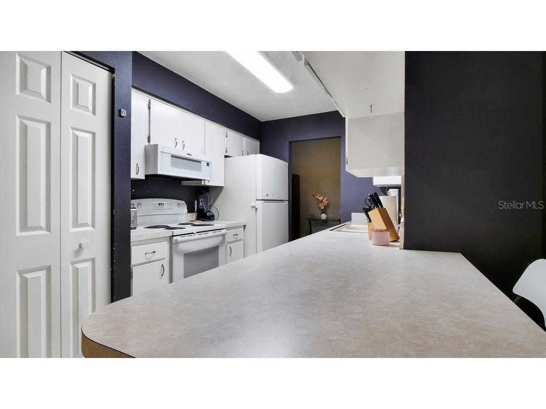 1048 Malletwood Drive Brandon FL 33510 TB8522170 image19