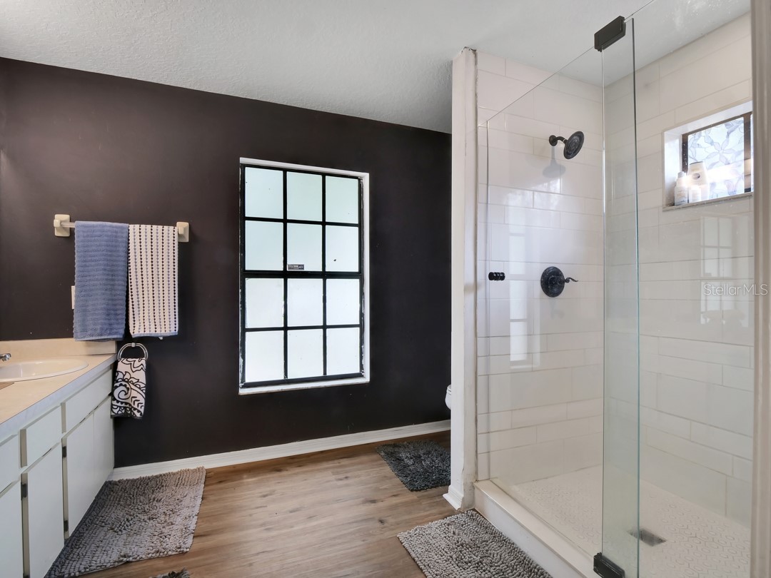 1048 Malletwood Drive Brandon FL 33510 TB8522170 image30