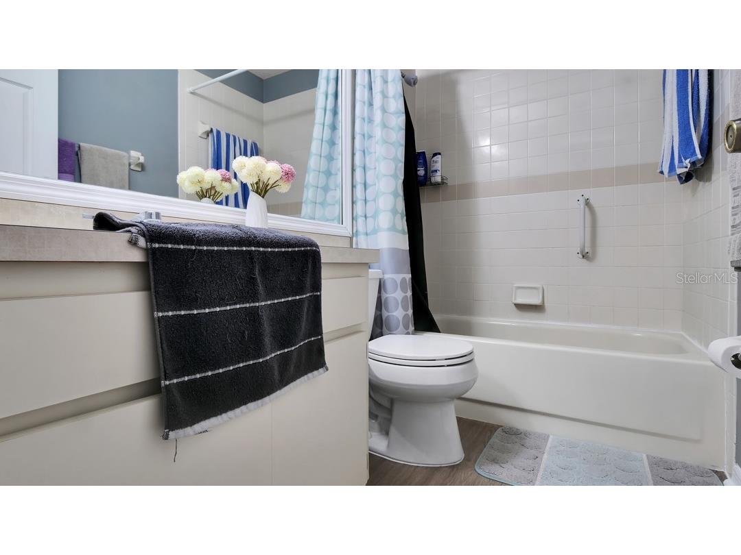 1048 Malletwood Drive Brandon FL 33510 TB8522170 image39