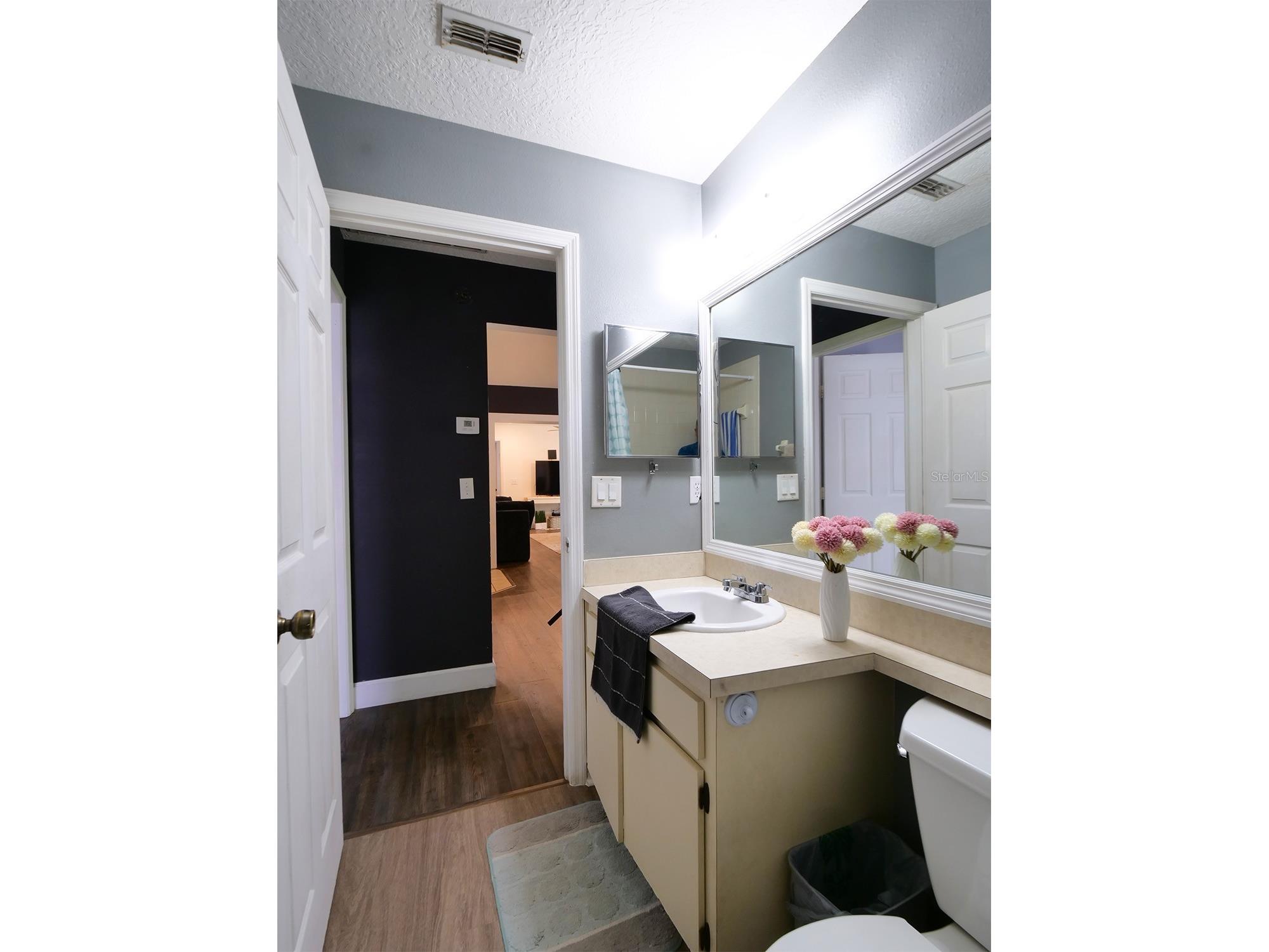 1048 Malletwood Drive Brandon FL 33510 TB8522170 image42