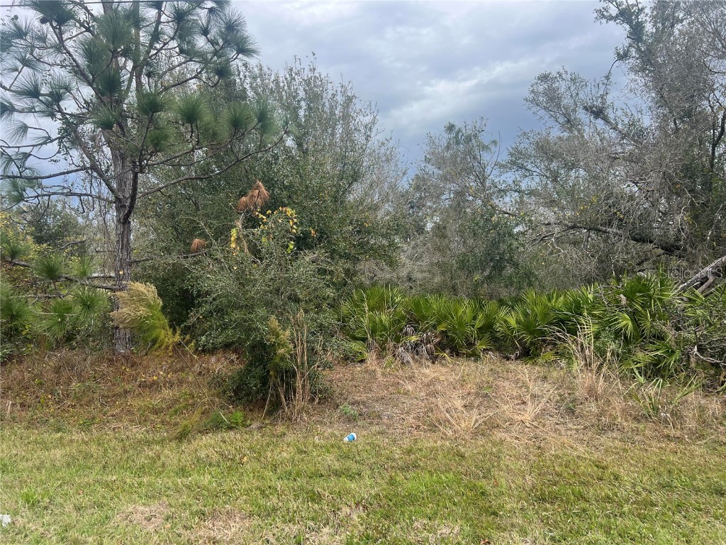 1048 Melville Road Punta Gorda FL 33983 A4594262 image1