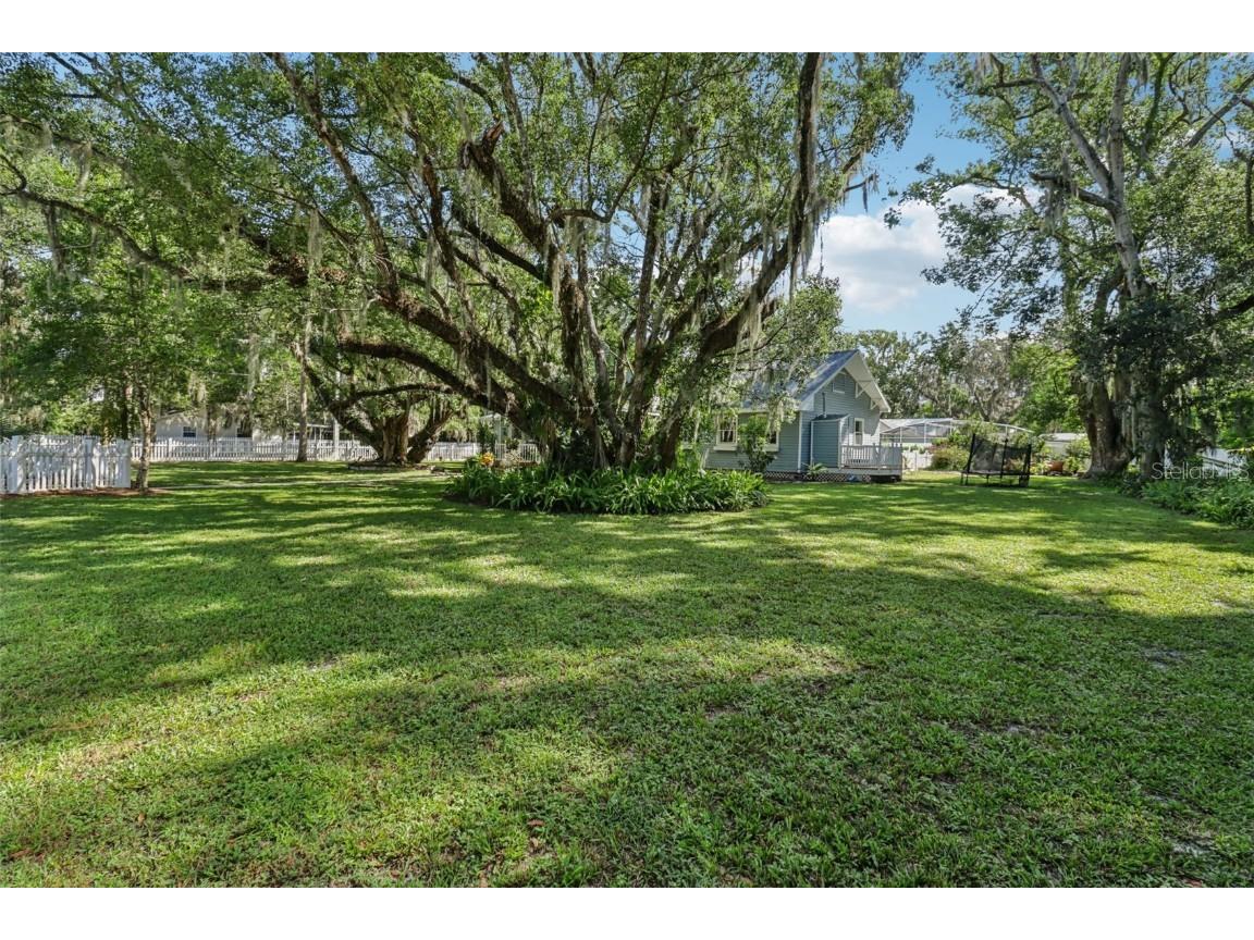 1048 N Grandview Street Mount Dora FL 32757 G5101268 image4