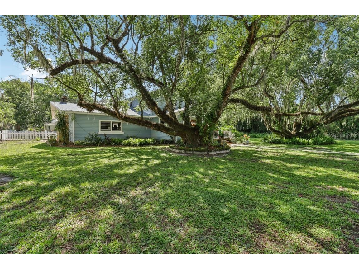 1048 N Grandview Street Mount Dora FL 32757 G5101268 image6