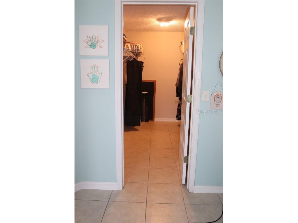 1048 Winding Water Way Clermont FL 34714 TB8387867 image34
