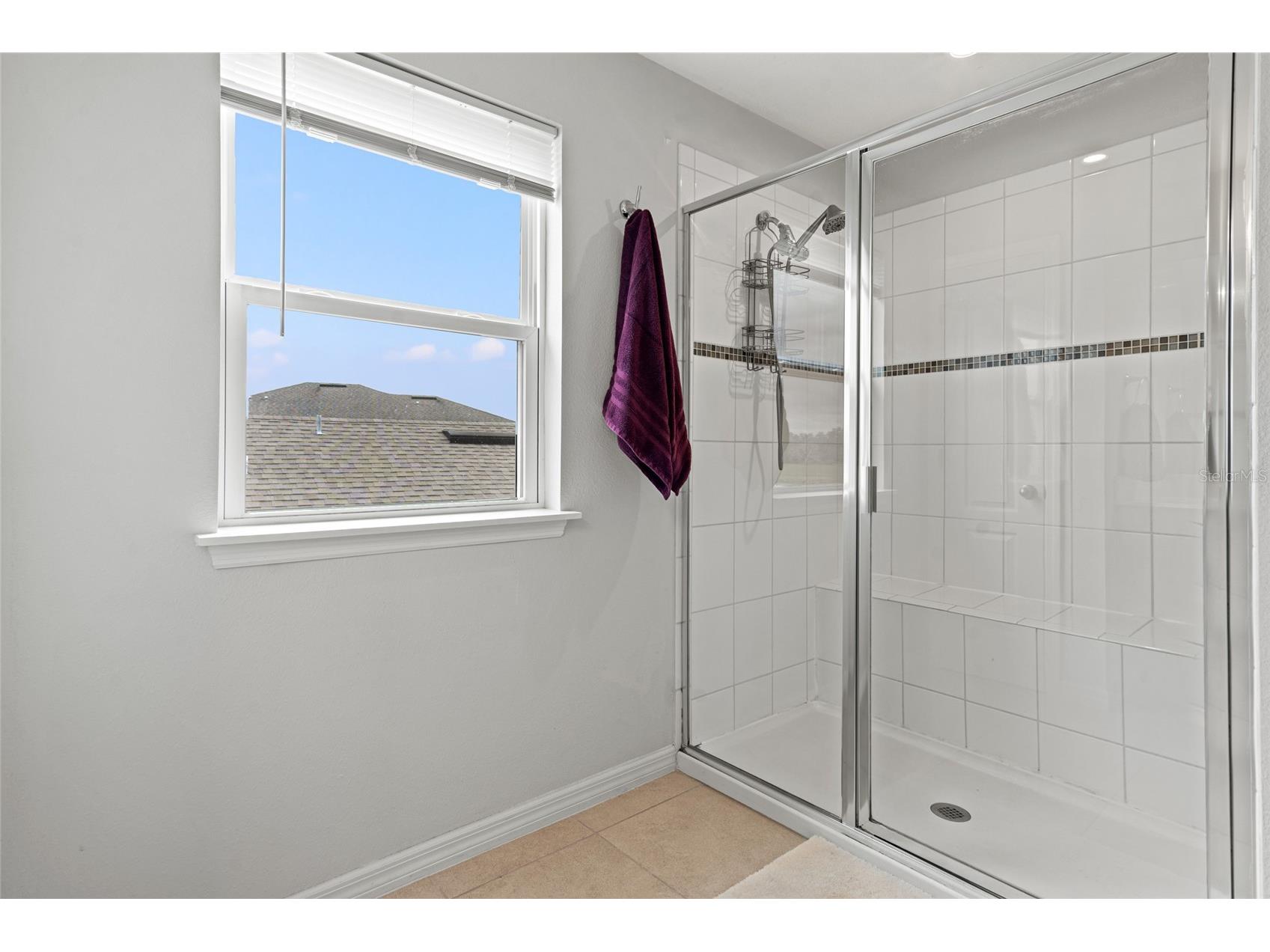 10480 Hawks Landing Drive Land O Lakes FL 34638 TB8495479 image29