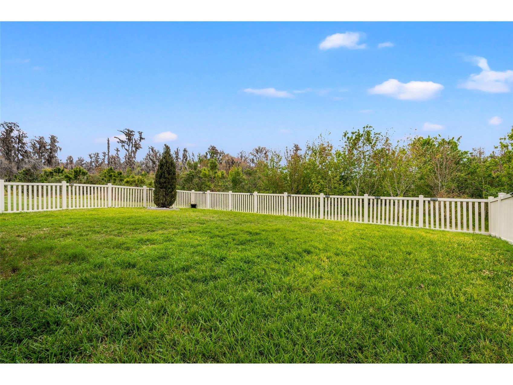 10480 Hawks Landing Drive Land O Lakes FL 34638 TB8495479 image36