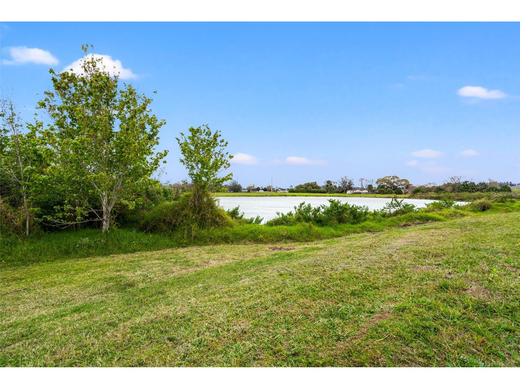 10480 Hawks Landing Drive Land O Lakes FL 34638 TB8495479 image38