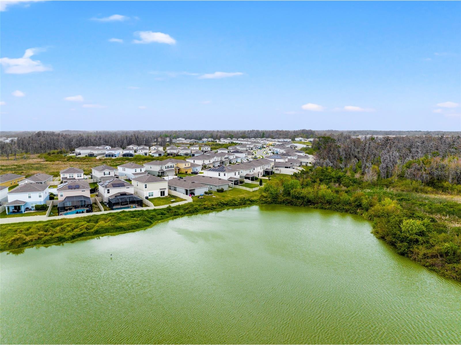 10480 Hawks Landing Drive Land O Lakes FL 34638 TB8495479 image43