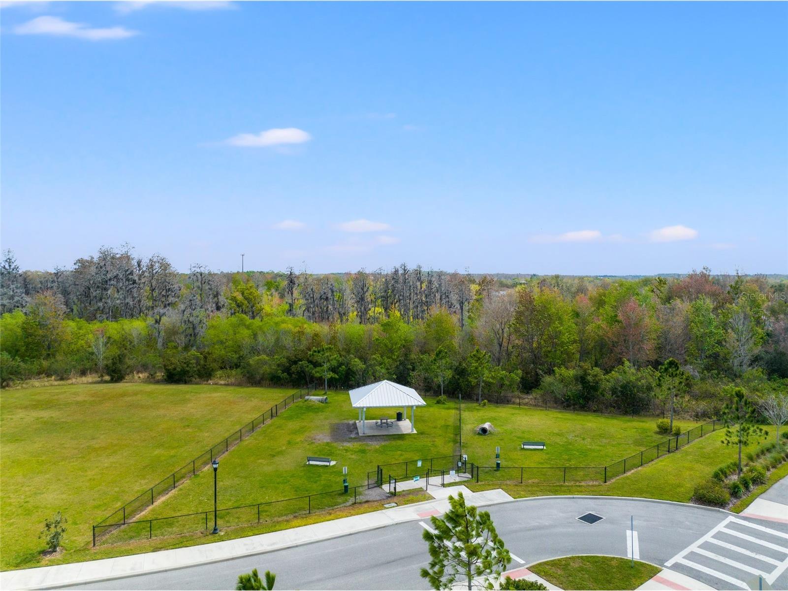 10480 Hawks Landing Drive Land O Lakes FL 34638 TB8495479 image51