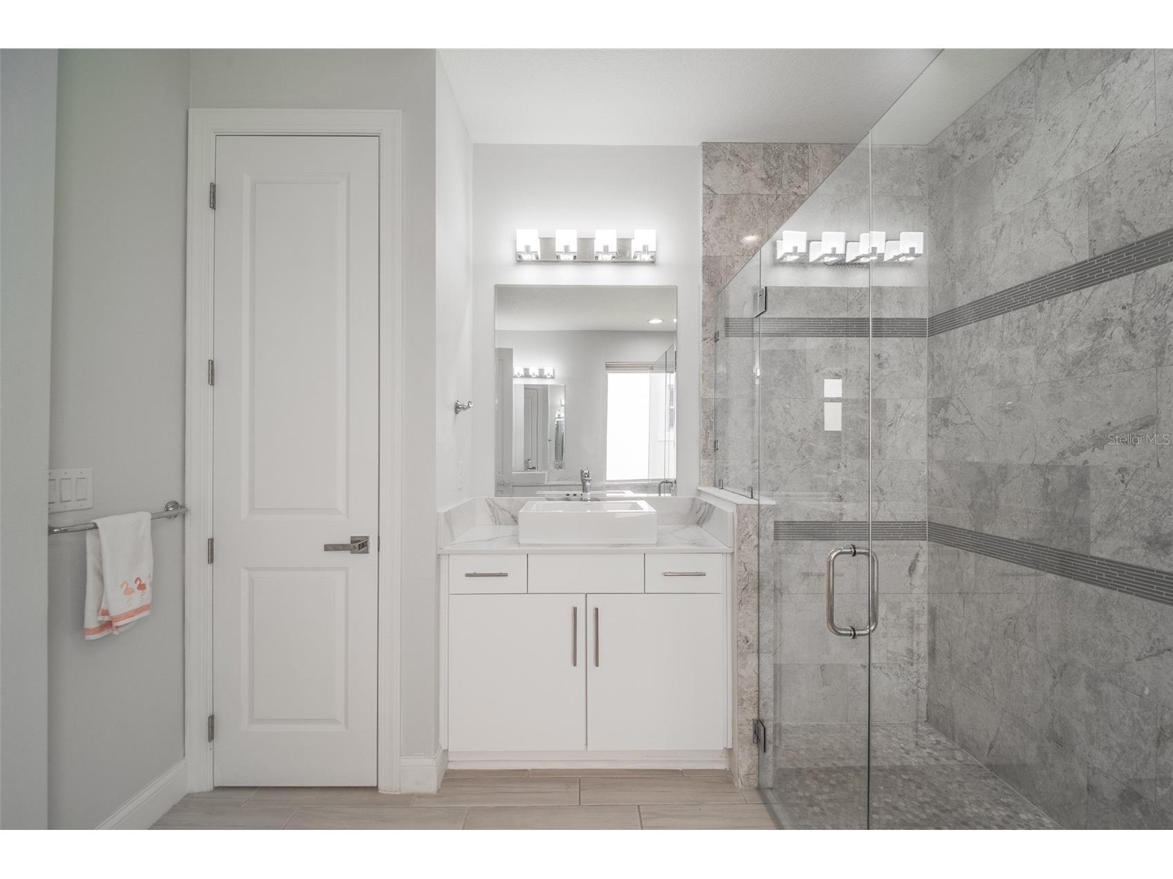 10481 Royal Cypress Way Orlando FL 32836 O6424546 image33