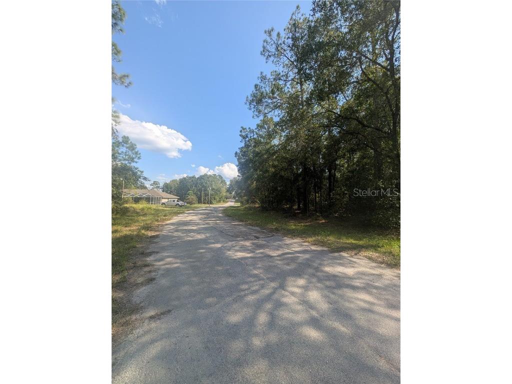 10484 N Holcomb Drive Citrus Springs FL 34434 OM712128 image1
