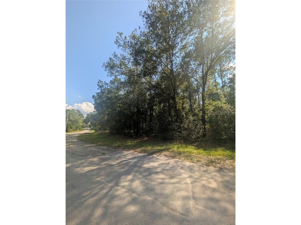 10484 N Holcomb Drive Citrus Springs FL 34434 OM712128 image2