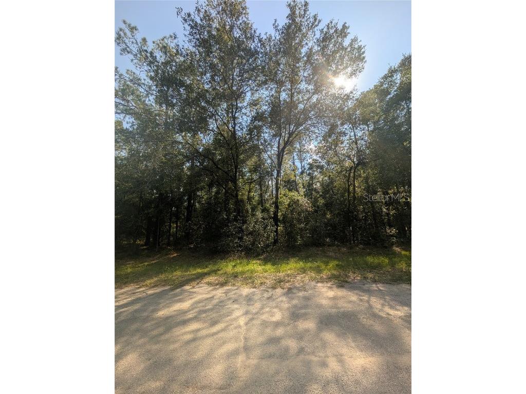 10484 N Holcomb Drive Citrus Springs FL 34434 OM712128 image3