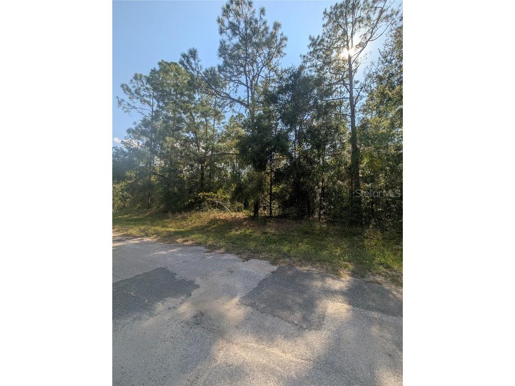 10484 N Holcomb Drive Citrus Springs FL 34434 OM712128 image4