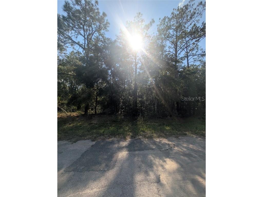 10484 N Holcomb Drive Citrus Springs FL 34434 OM712128 image5