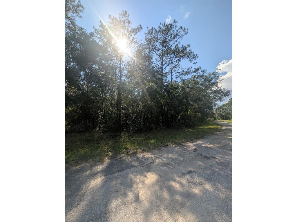 10484 N Holcomb Drive Citrus Springs FL 34434 OM712128 image6