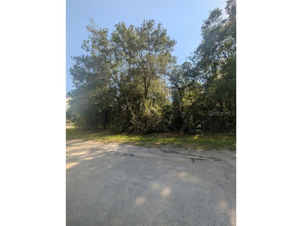 10484 N Holcomb Drive Citrus Springs FL 34434 OM712128 image7