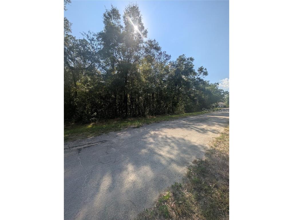 10484 N Holcomb Drive Citrus Springs FL 34434 OM712128 image9