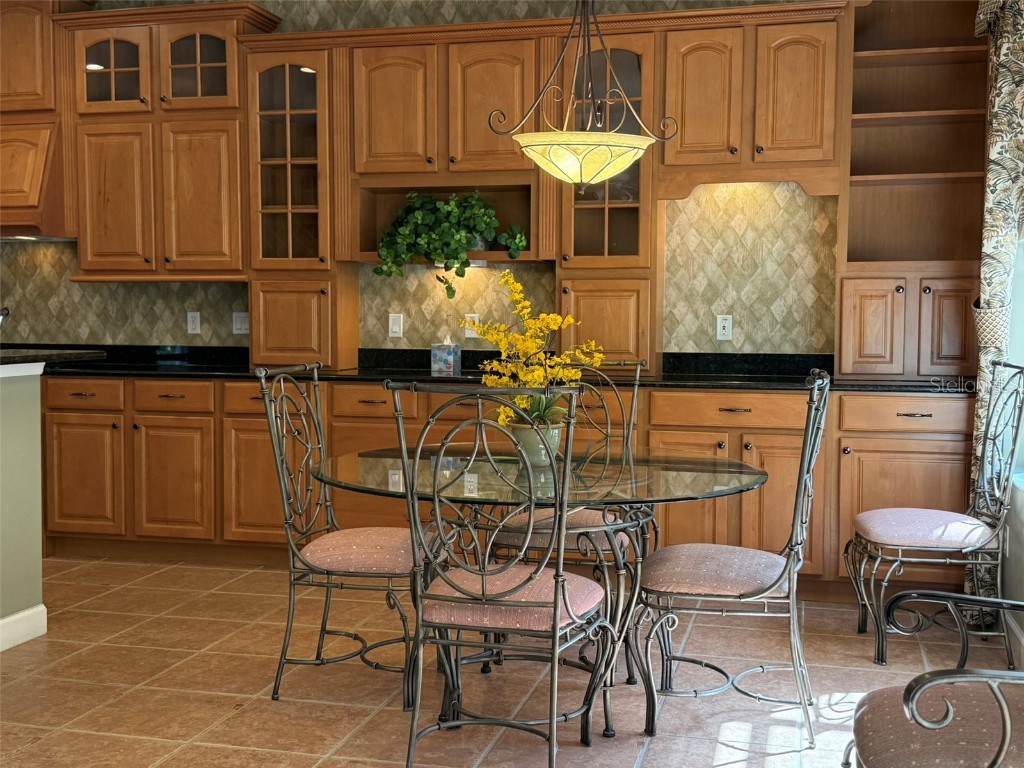 10484 Wiscane Avenue Orlando FL 32836 - BUTLER CHAIN - LAKE SHEEN O6356278 image13