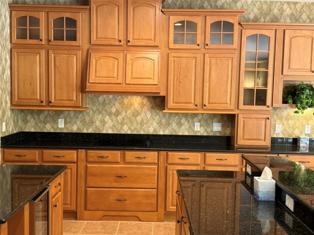 10484 Wiscane Avenue Orlando FL 32836 - BUTLER CHAIN - LAKE SHEEN O6356278 image15