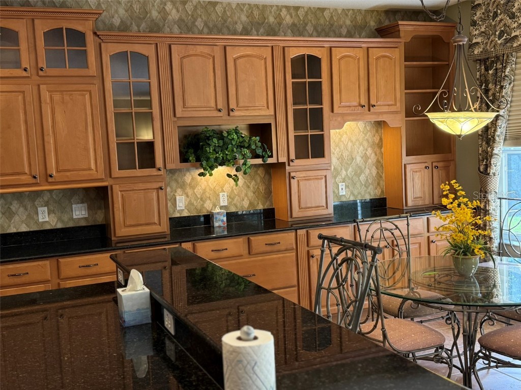 10484 Wiscane Avenue Orlando FL 32836 - BUTLER CHAIN - LAKE SHEEN O6356278 image16