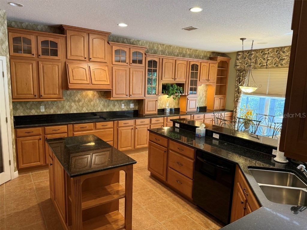 10484 Wiscane Avenue Orlando FL 32836 - BUTLER CHAIN - LAKE SHEEN O6356278 image18