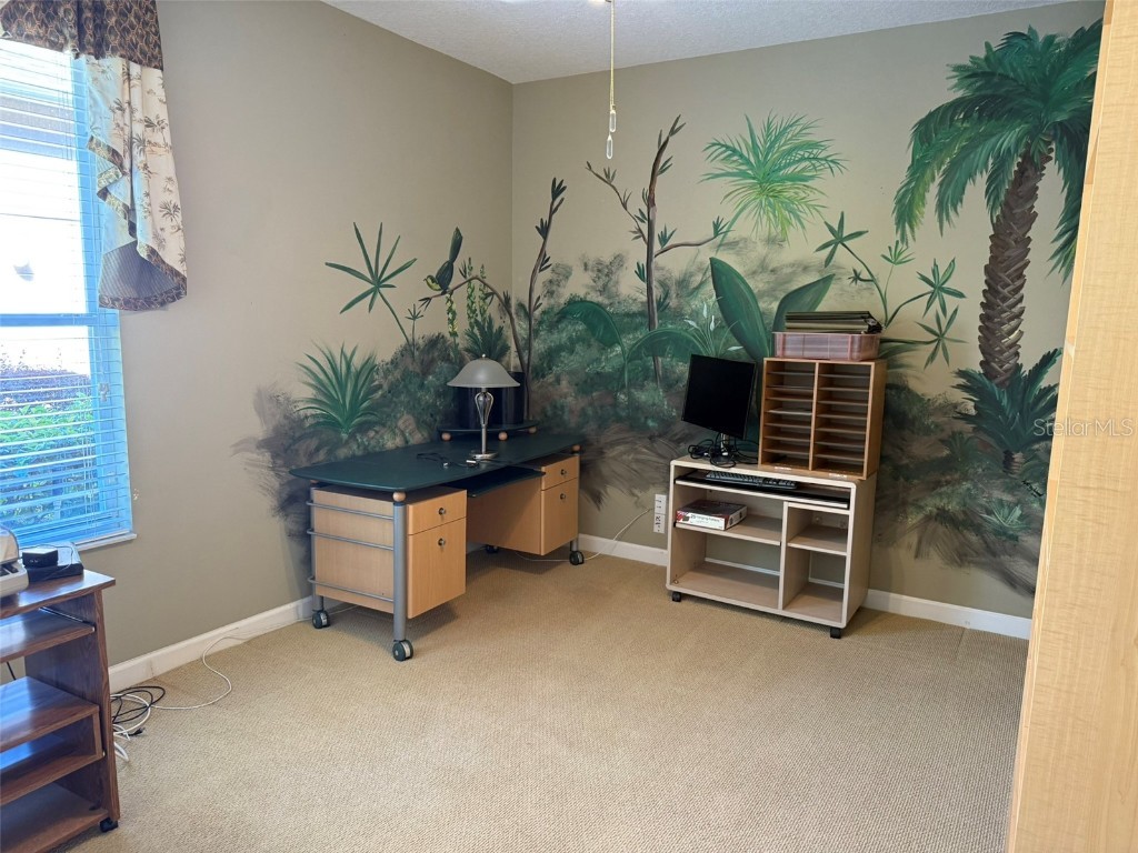 10484 Wiscane Avenue Orlando FL 32836 - BUTLER CHAIN - LAKE SHEEN O6356278 image19