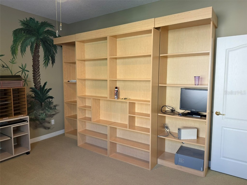 10484 Wiscane Avenue Orlando FL 32836 - BUTLER CHAIN - LAKE SHEEN O6356278 image20