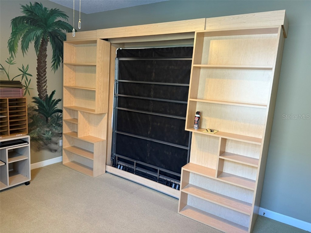 10484 Wiscane Avenue Orlando FL 32836 - BUTLER CHAIN - LAKE SHEEN O6356278 image21