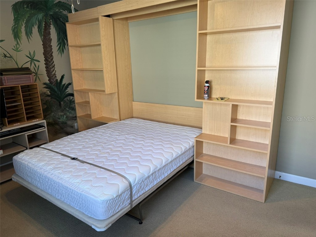 10484 Wiscane Avenue Orlando FL 32836 - BUTLER CHAIN - LAKE SHEEN O6356278 image22