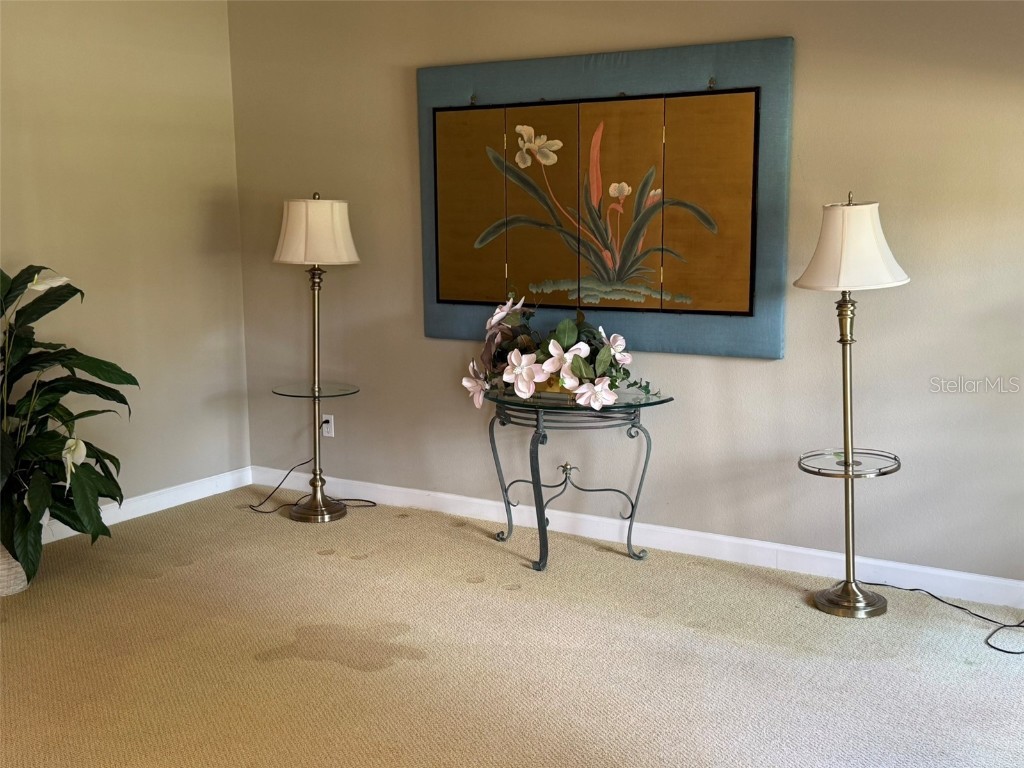 10484 Wiscane Avenue Orlando FL 32836 - BUTLER CHAIN - LAKE SHEEN O6356278 image4