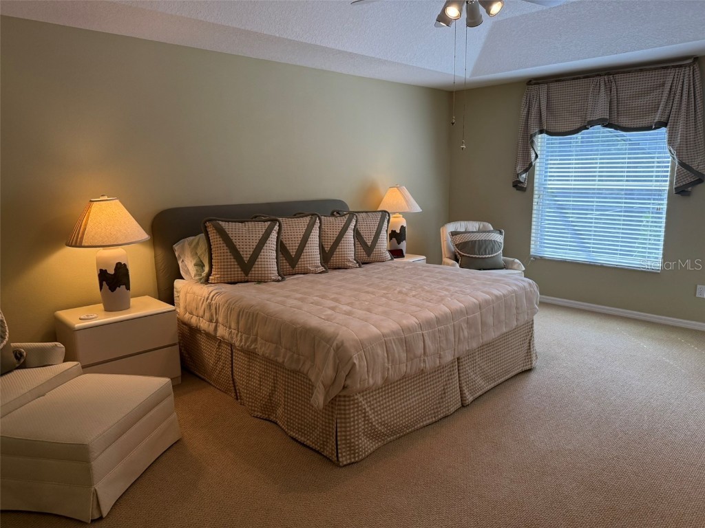 10484 Wiscane Avenue Orlando FL 32836 - BUTLER CHAIN - LAKE SHEEN O6356278 image42