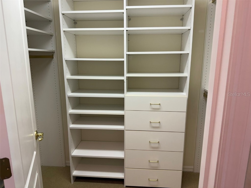 10484 Wiscane Avenue Orlando FL 32836 - BUTLER CHAIN - LAKE SHEEN O6356278 image52