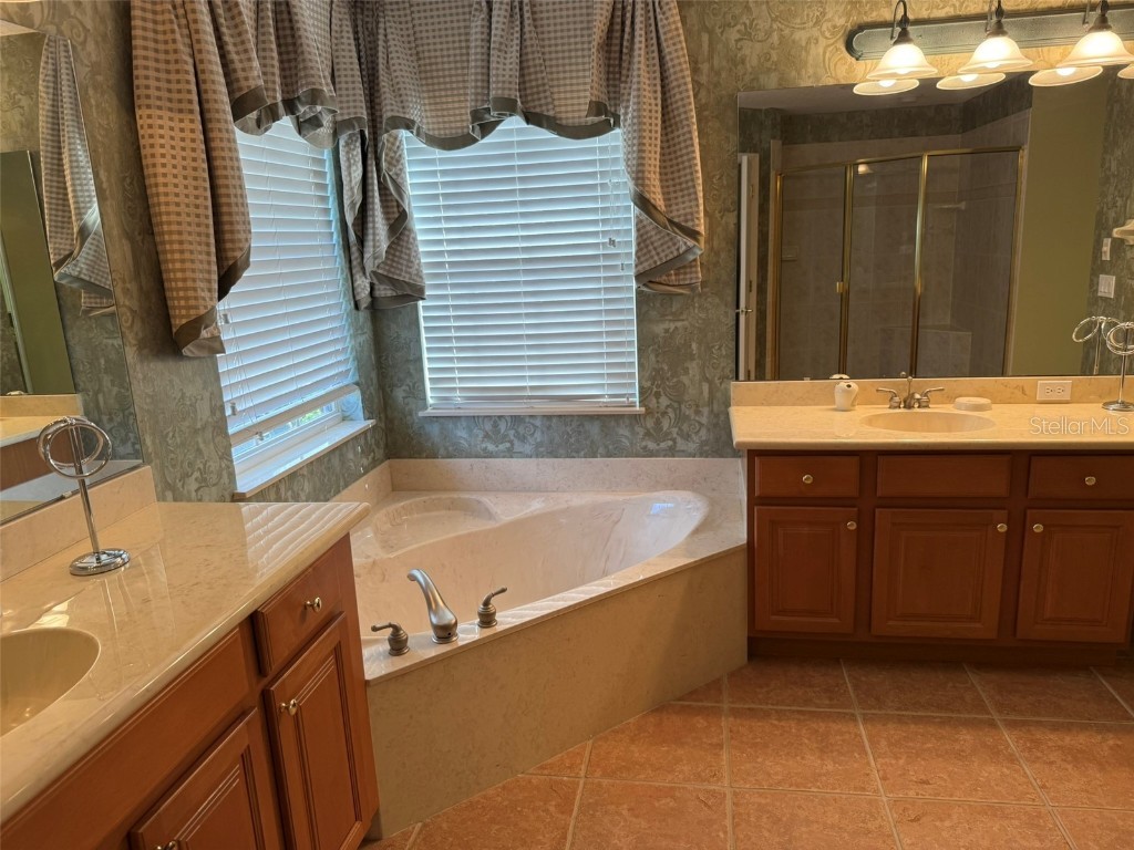 10484 Wiscane Avenue Orlando FL 32836 - BUTLER CHAIN - LAKE SHEEN O6356278 image54