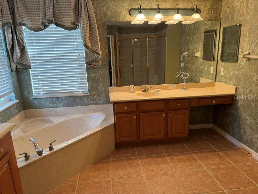 10484 Wiscane Avenue Orlando FL 32836 - BUTLER CHAIN - LAKE SHEEN O6356278 image55