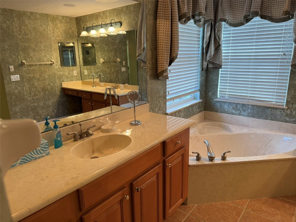 10484 Wiscane Avenue Orlando FL 32836 - BUTLER CHAIN - LAKE SHEEN O6356278 image56