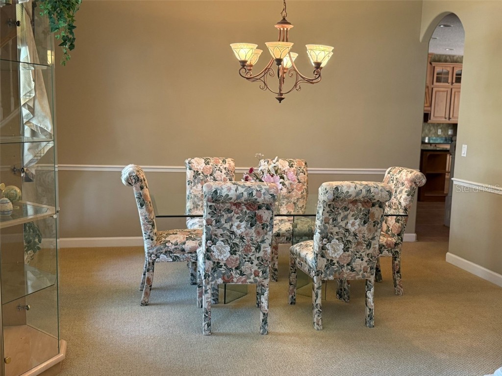 10484 Wiscane Avenue Orlando FL 32836 - BUTLER CHAIN - LAKE SHEEN O6356278 image6