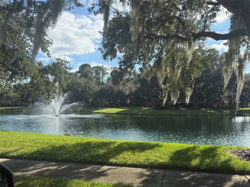 10484 Wiscane Avenue Orlando FL 32836 - BUTLER CHAIN - LAKE SHEEN O6356278 image75