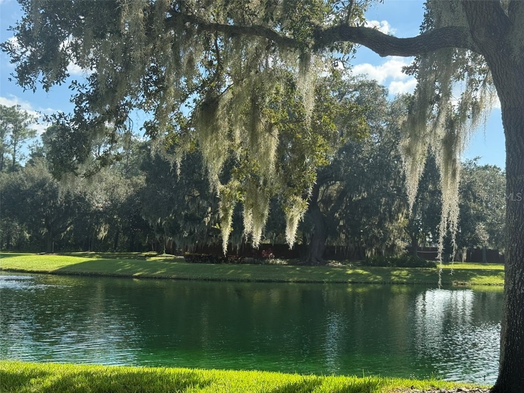 10484 Wiscane Avenue Orlando FL 32836 - BUTLER CHAIN - LAKE SHEEN O6356278 image76