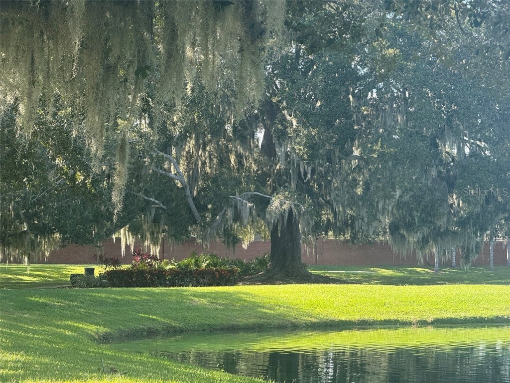 10484 Wiscane Avenue Orlando FL 32836 - BUTLER CHAIN - LAKE SHEEN O6356278 image77