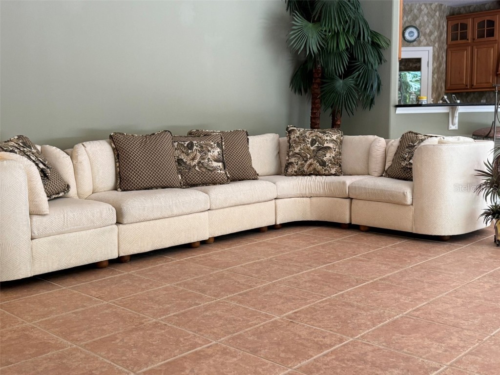 10484 Wiscane Avenue Orlando FL 32836 - BUTLER CHAIN - LAKE SHEEN O6356278 image8