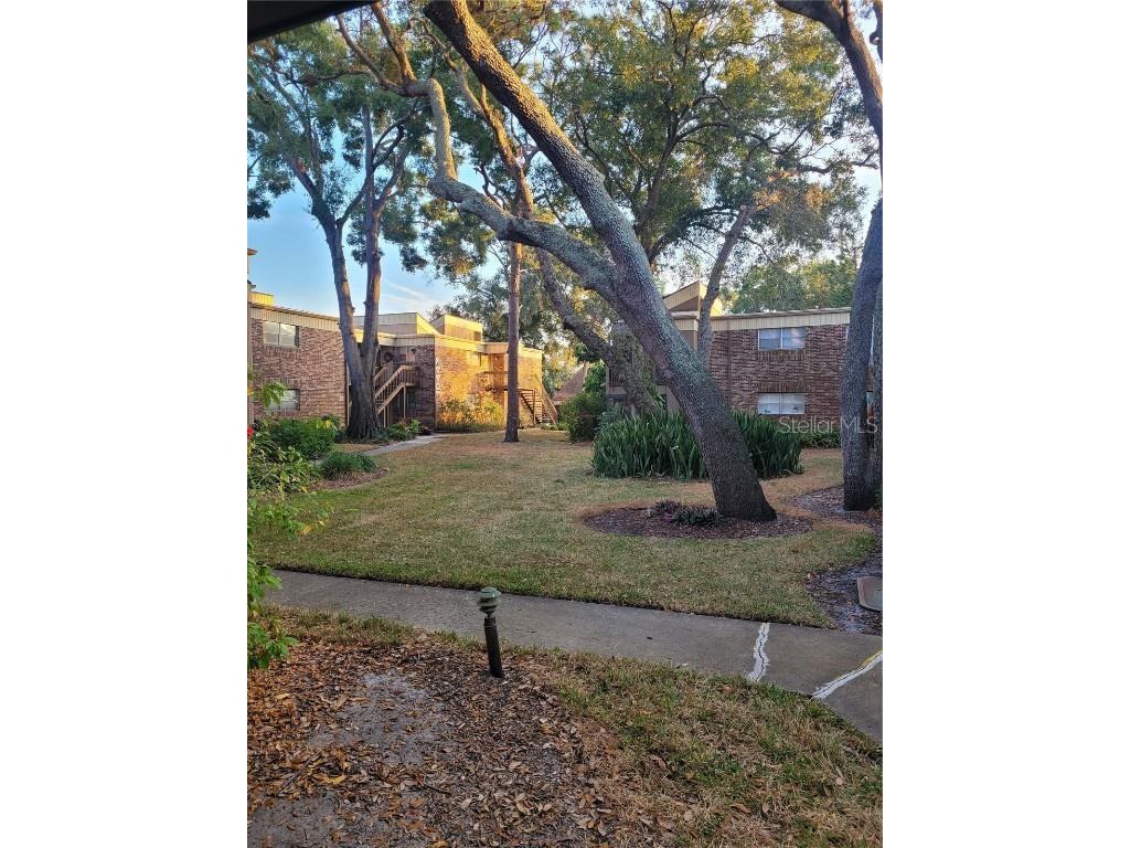10485 Carrollbrook Circle #120 Tampa FL 33618 TB8452690 image18